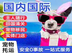 济南空运公司国际宠物托运 【国